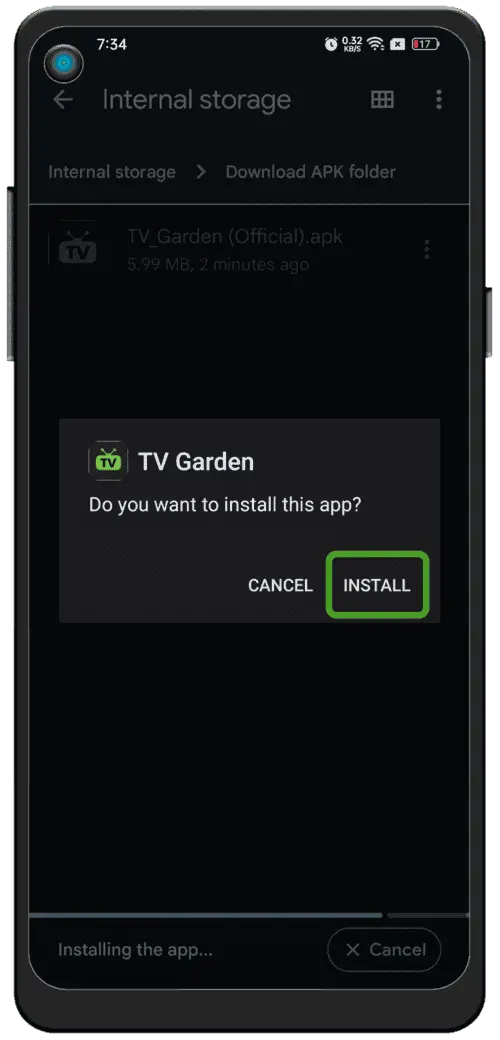 Install and Launch CurryTV